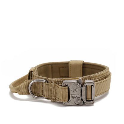 Ensemble Collier & Laisse pour Chien – Résistant, Réfléchissant et Confortable Ma boutique