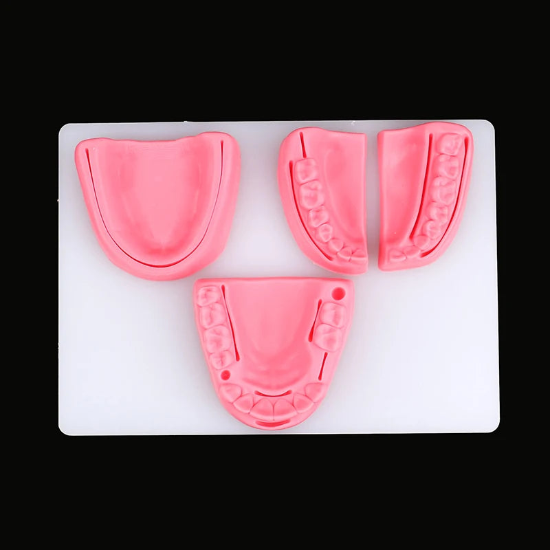 Kit 4pcs Modèles de Suture Buccale Simulation Dentaire – Formation et Entraînement en Suture Gingivale Ma boutique