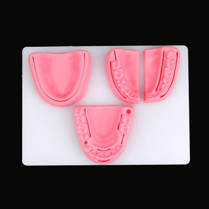 Kit 4pcs Modèles de Suture Buccale Simulation Dentaire – Formation et Entraînement en Suture Gingivale Ma boutique
