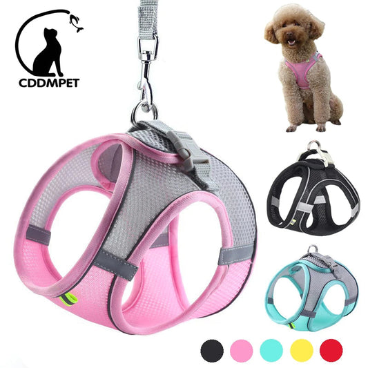 Ensemble Harnais et Laisse pour Petit Chien ou Chat – Harnais Réglable en Maille Respirante avec Liseré Réfléchissant Ma boutique