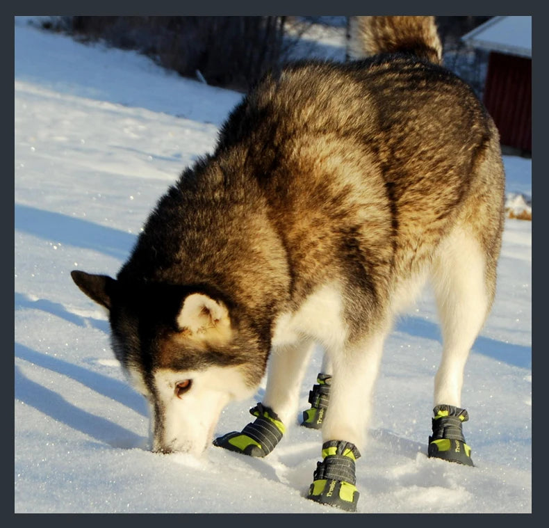 Bottes d’Hiver Antidérapantes pour Chiens – Truelove Ma boutique