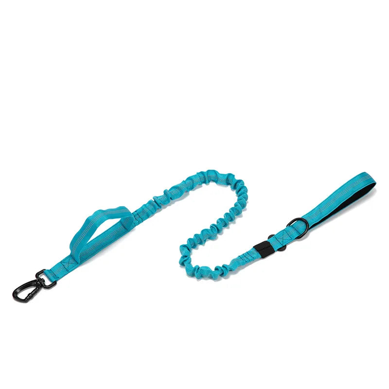 Ensemble Collier & Laisse pour Chien – Résistant, Réfléchissant et Confortable Ma boutique