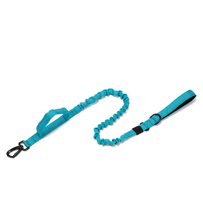 Ensemble Collier & Laisse pour Chien – Résistant, Réfléchissant et Confortable Ma boutique