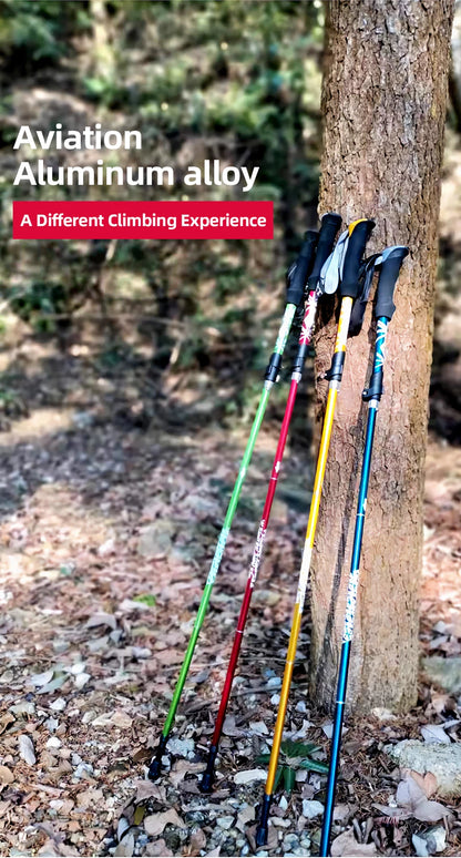 Bâton de Randonnée Pliable 5 Sections – PACOONE | Léger, Télescopique & Portable – 130 cm - BLACKBEARD OUTDOOR INDUSTRIES