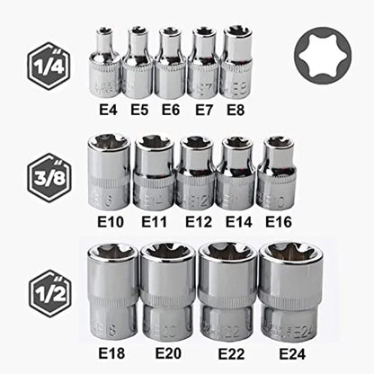 Jeu de Douilles Femelles Torx E4 à E24 – 14 Pièces | Douilles Étoile Externe (E-Torx) en Acier Chrome Vanadium - BLACKBEARD OUTDOOR INDUSTRIES