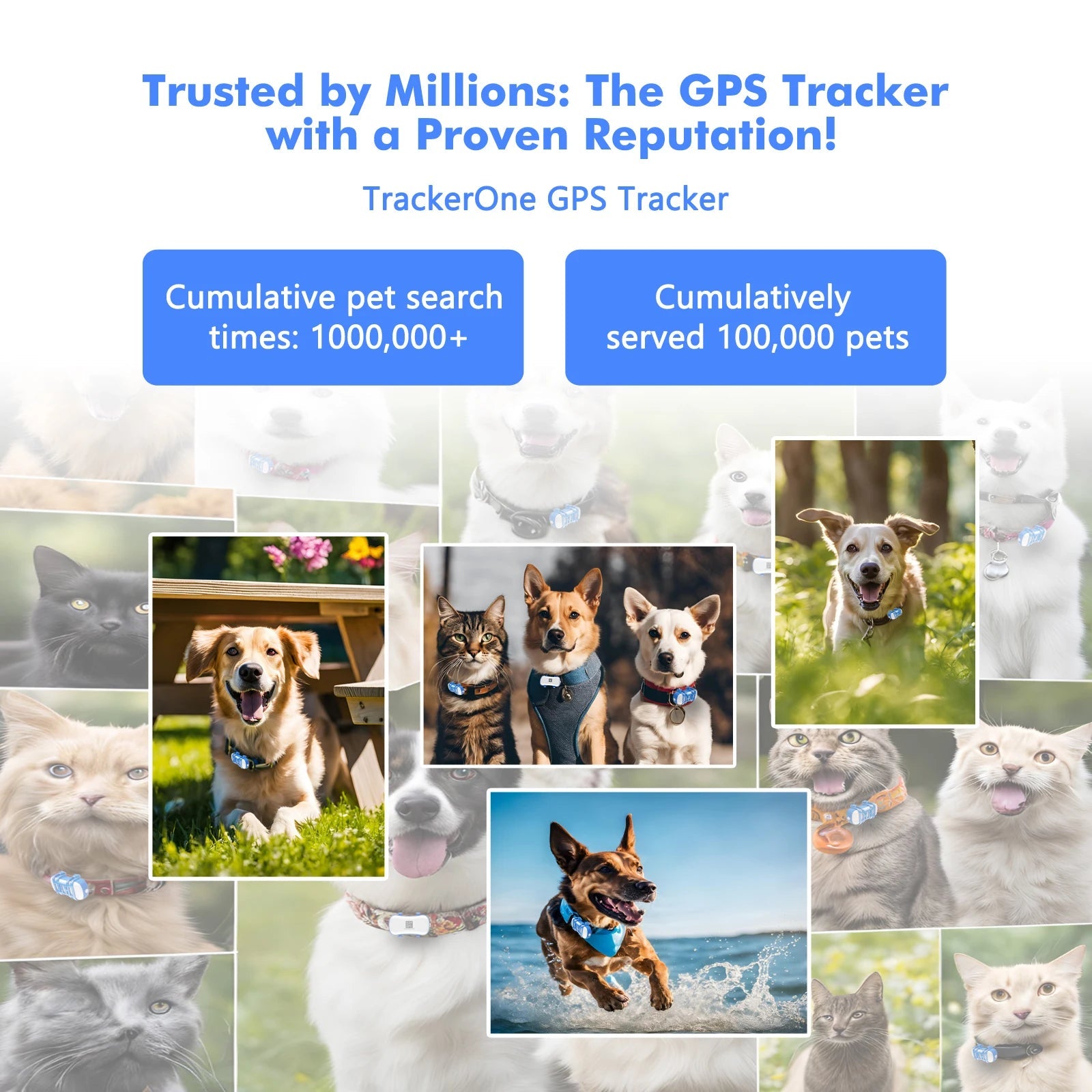 Traceur GPS 4G pour Chien & Chat – Étanche, Localisation en Temps Réel, Son/Lumière, Application Mobile Incluse Ma boutique