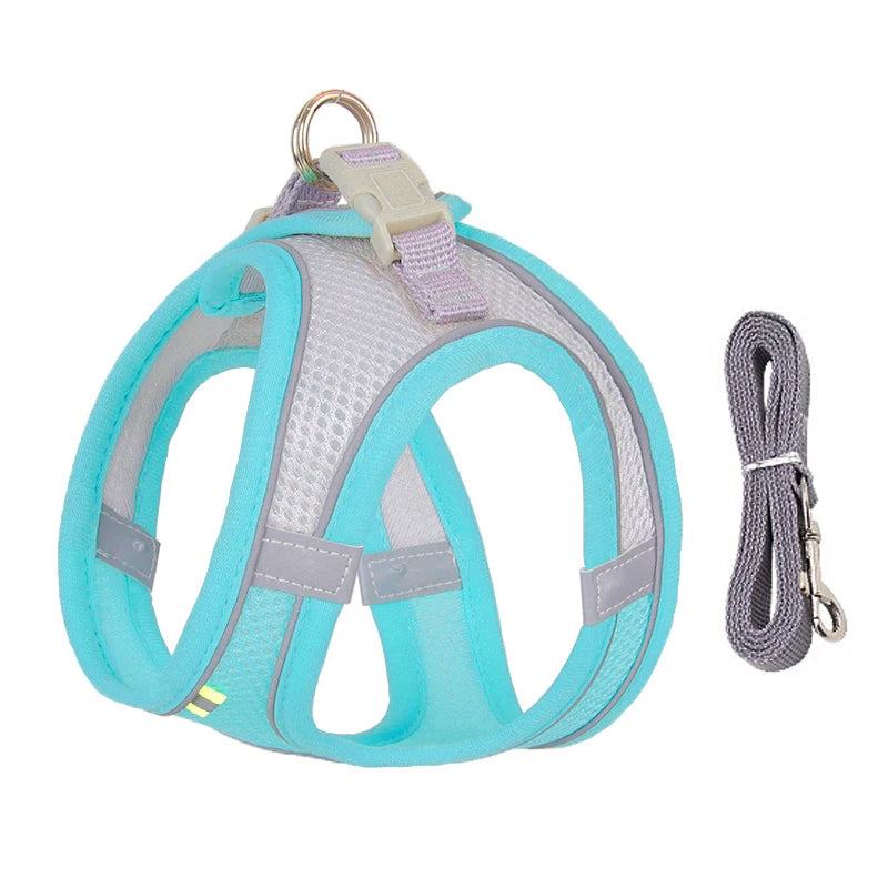 Ensemble Harnais et Laisse pour Petit Chien ou Chat – Harnais Réglable en Maille Respirante avec Liseré Réfléchissant Ma boutique