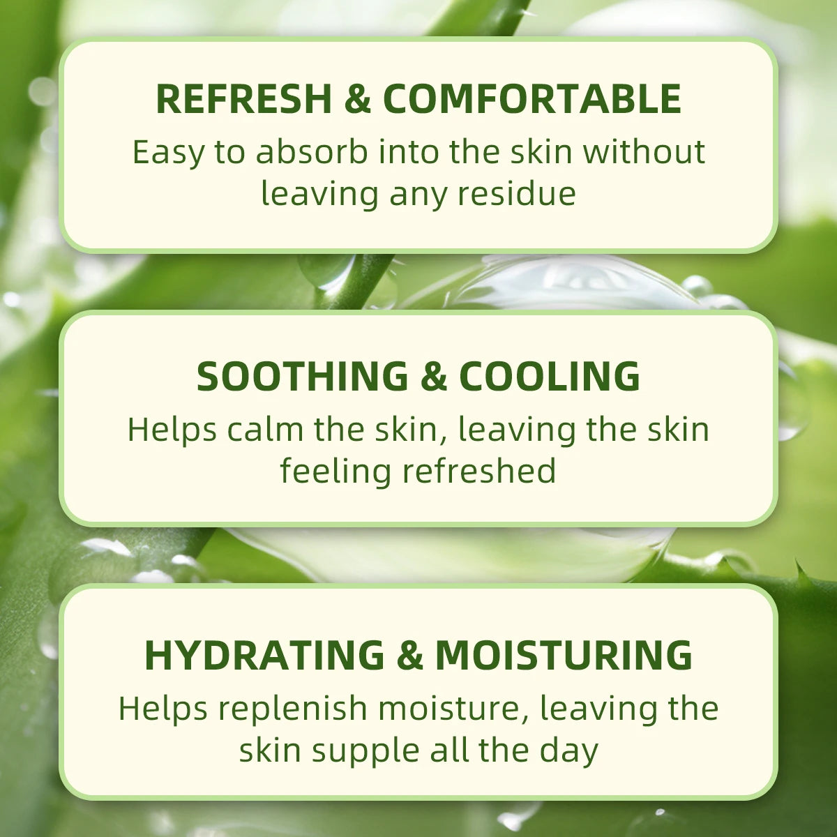 Gel Hydratant à l’Aloe Vera – Soin Visage Naturel & Éclaircissant - BLACKBEARD OUTDOOR INDUSTRIES