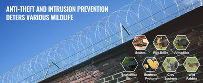 VEVOR Razor Wire – Rouleaux de Fil Barbelé Lames Doubles Spirales Galvanisé pour Clôture et Sécurité Extérieure - BLACKBEARD OUTDOOR INDUSTRIES